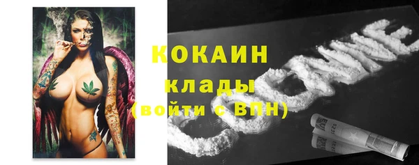 прущие крисы Алексеевка