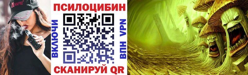 купить наркотики сайты  гидра ссылка  Галлюциногенные грибы MAGIC MUSHROOMS  Абинск 